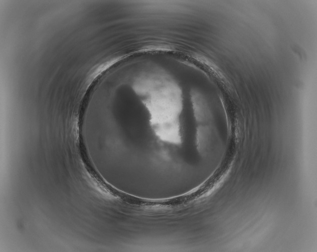 X0000110871113200906181156