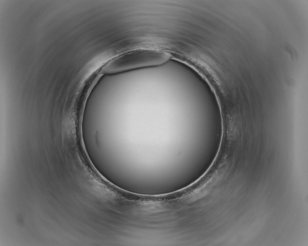 X0000110871114200906181156