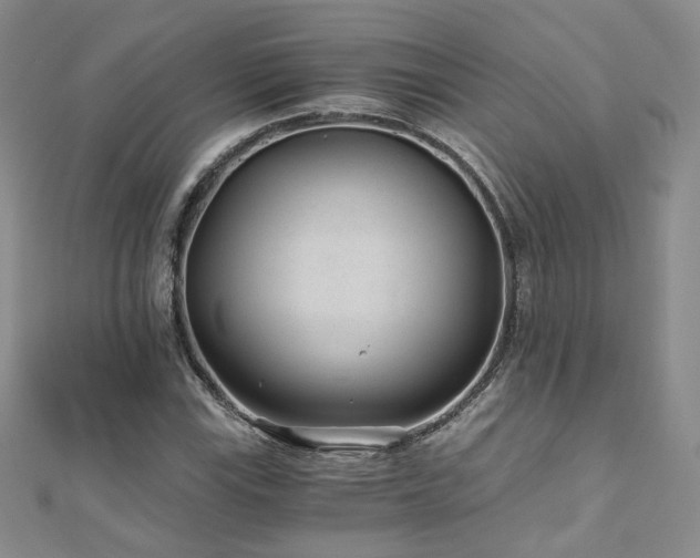 X0000110871115200906181156