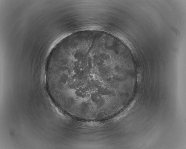 X0000110871117200906181156