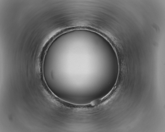 X0000110871118200906181156