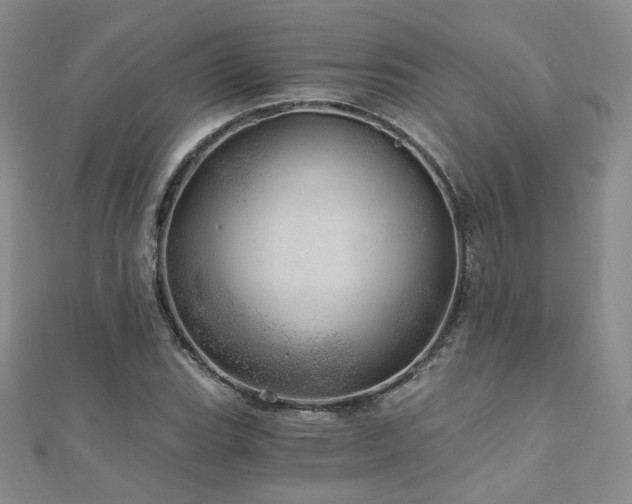 X0000110871119200906181156