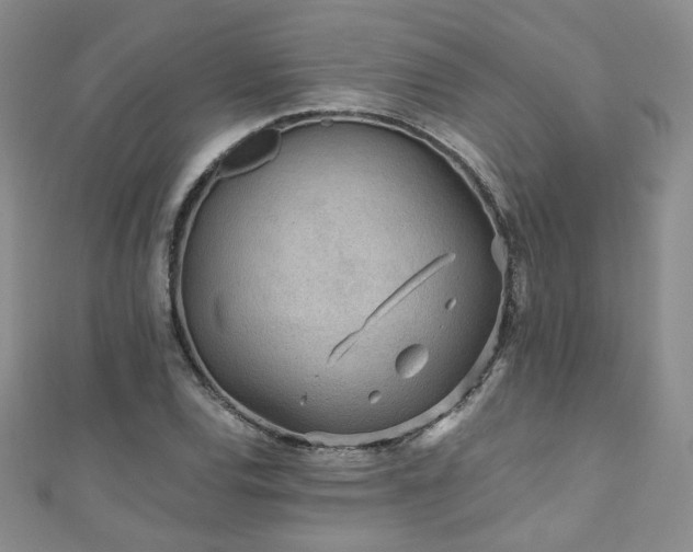 X0000110871120200906181156