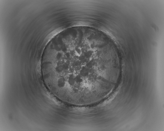 X0000110871121200906181156