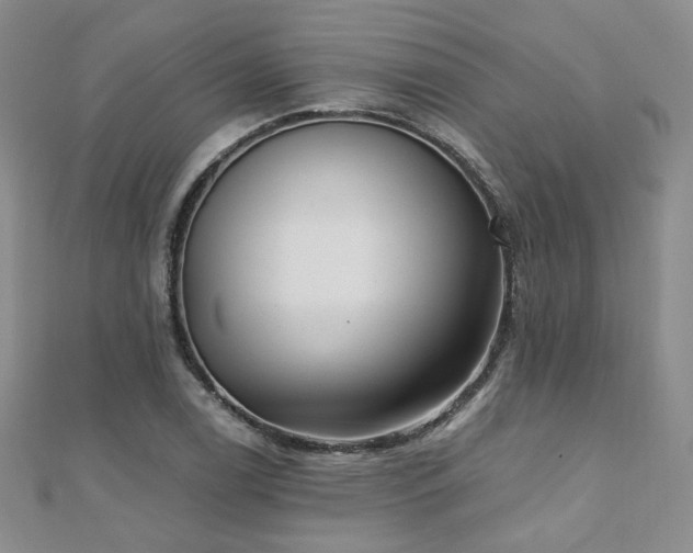 X0000110871122200906181156