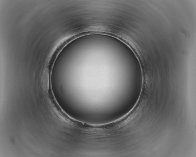 X0000110871123200906181156