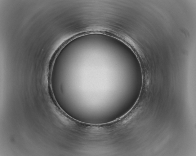 X0000110871124200906181156