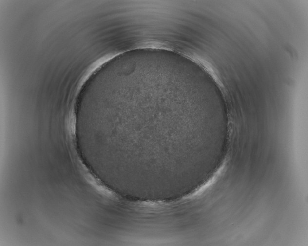 X0000110871125200906181156