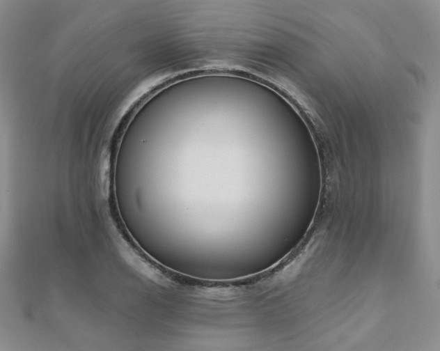 X0000110871126200906181156