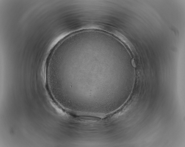 X0000110871127200906181156