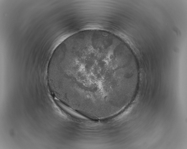 X0000110871129200906181156