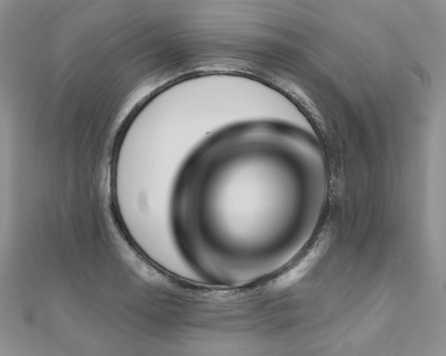 X0000110871130200906181156