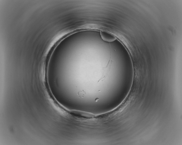 X0000110871131200906181156