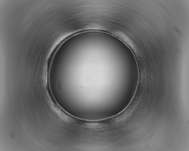 X0000110871132200906181156