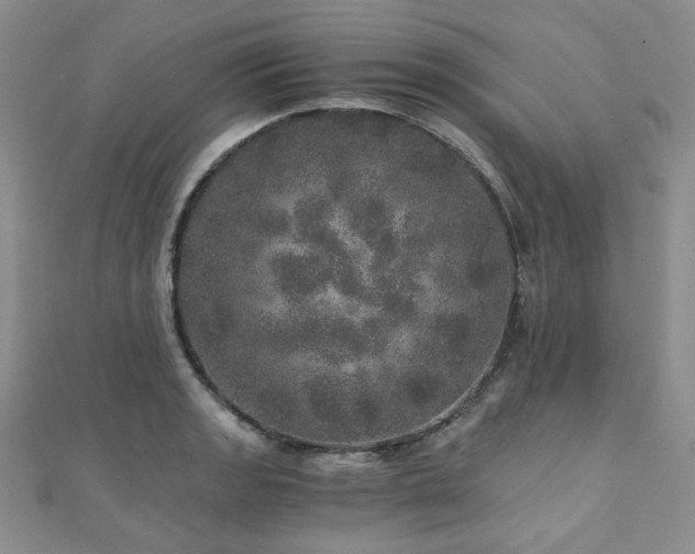 X0000110871133200906181156