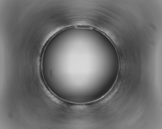 X0000110871134200906181156