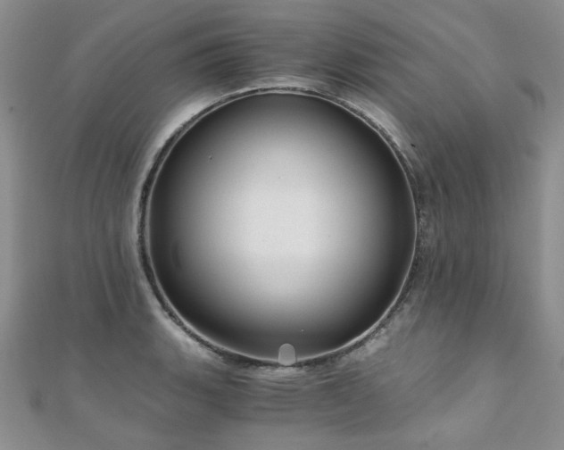 X0000110871135200906181156