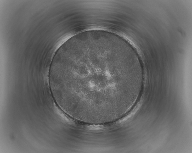 X0000110871137200906181157