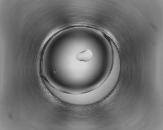 X0000110871138200906181157