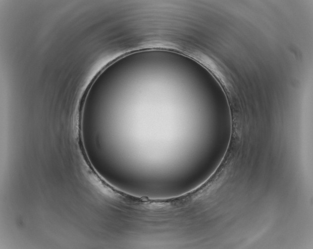 X0000110871140200906181157