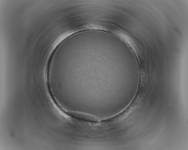 X0000110871141200906181157