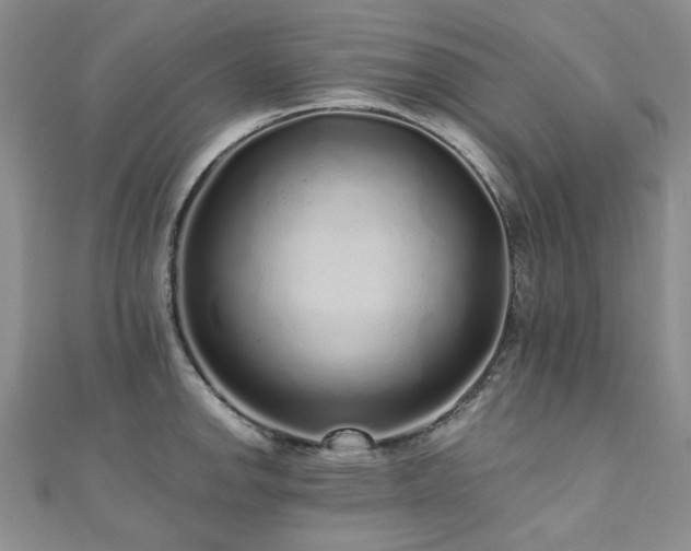 X0000110871142200906181157