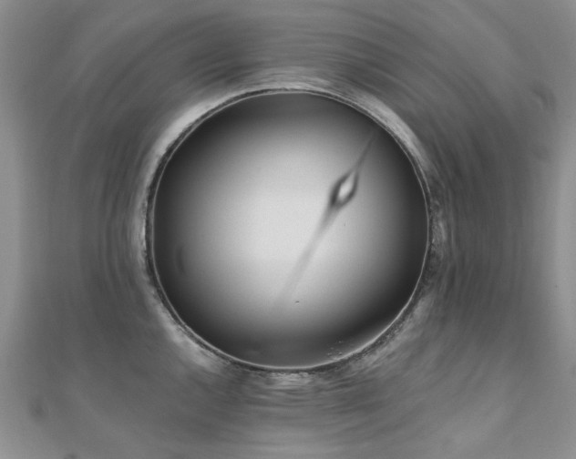 X0000110871144200906181157