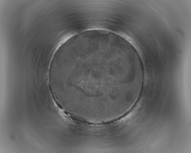 X0000110871145200906181157