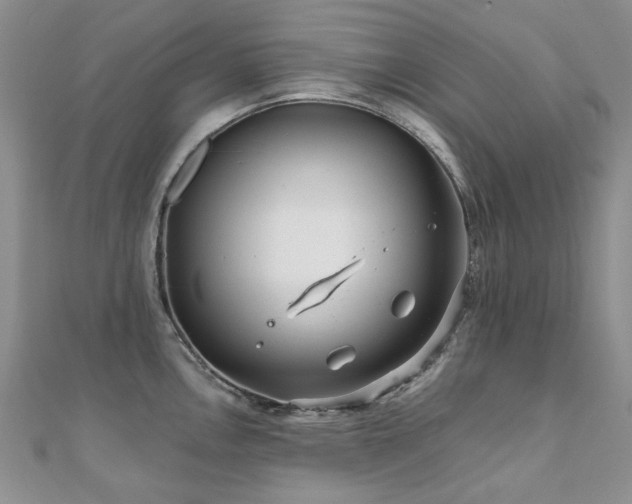 X0000110871146200906181157