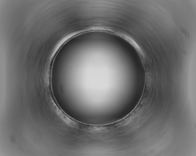 X0000110871148200906181157