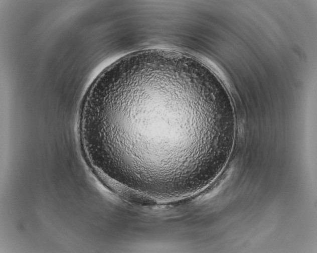 X0000110871149200906181157