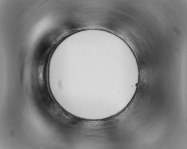 X0000110871150200906181157