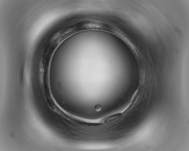 X0000110871151200906181157