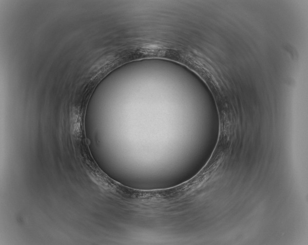 X0000110871154200906181156