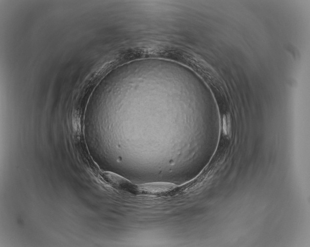 X0000110871155200906181156