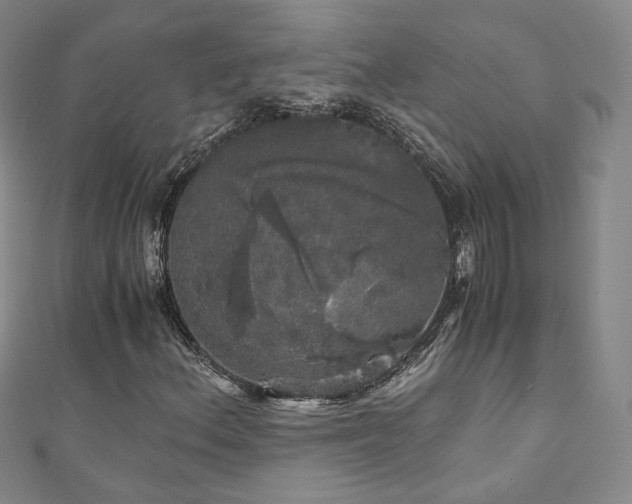 X0000110871156200906181156