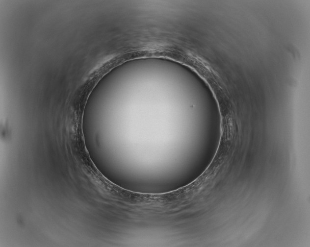 X0000110871158200906181156