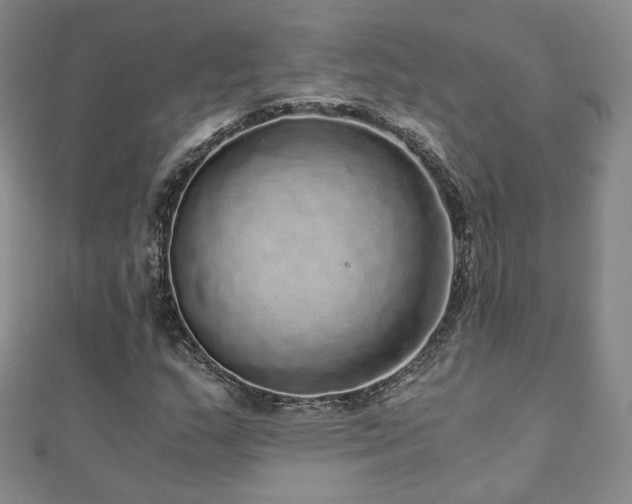 X0000110871159200906181156