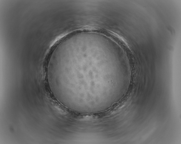 X0000110871160200906181156