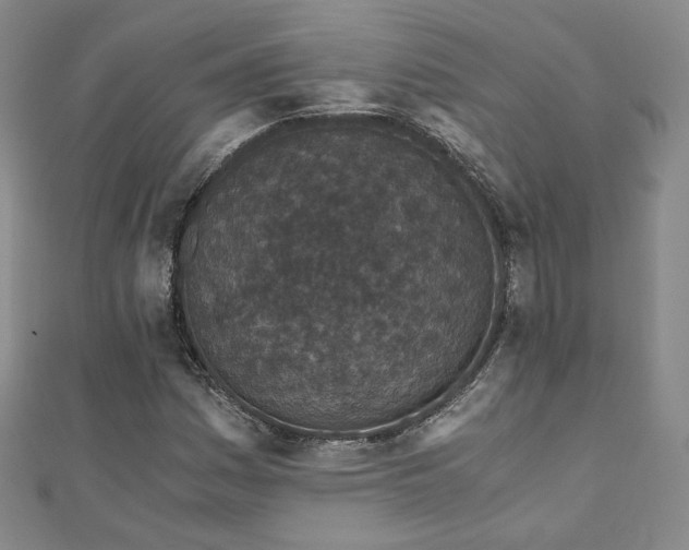 X0000110871161200906181156