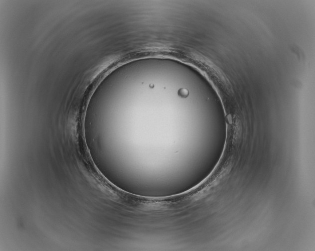 X0000110871162200906181156