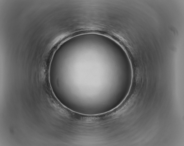 X0000110871163200906181156