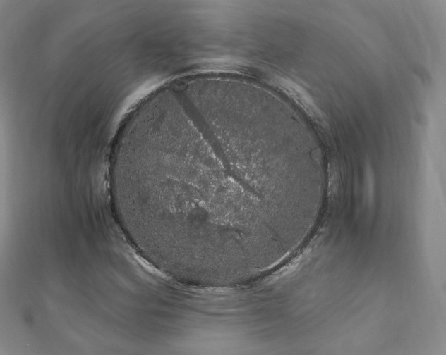 X0000110871164200906181156