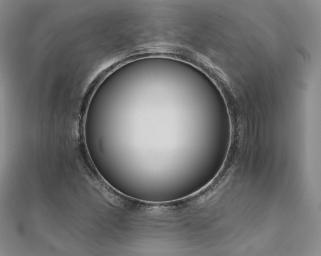 X0000110871166200906181156