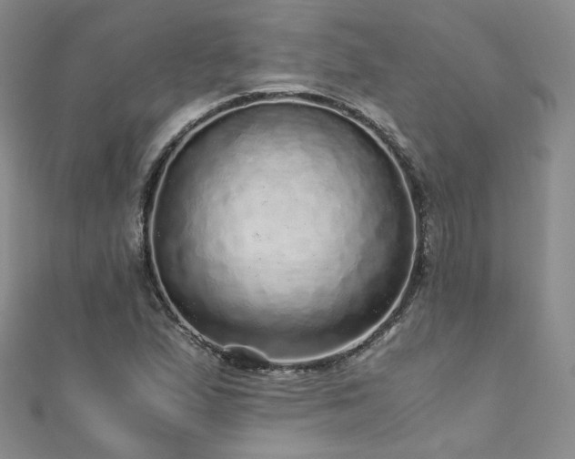 X0000110871167200906181156