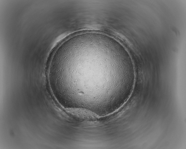 X0000110871168200906181156