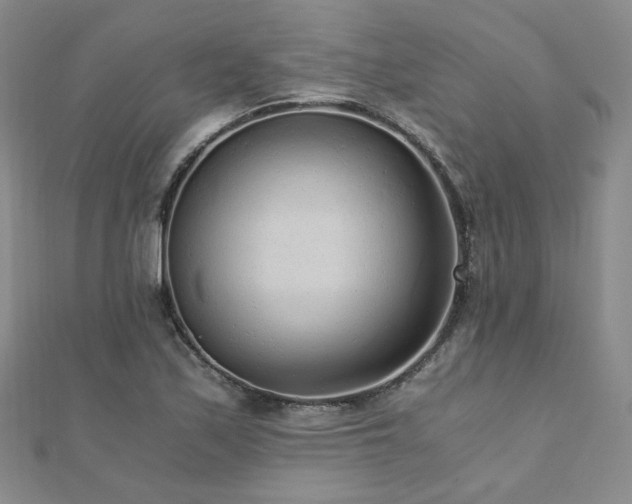 X0000110871171200906181156