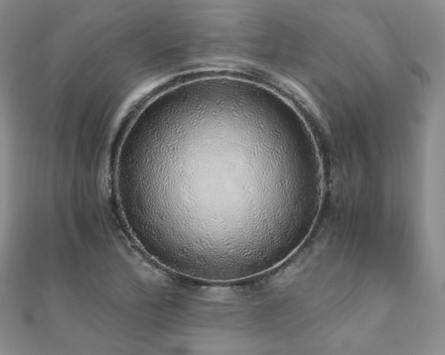 X0000110871172200906181156