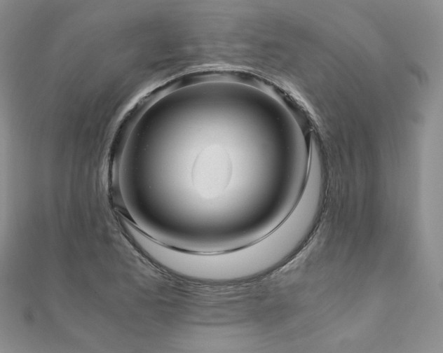 X0000110871173200906181156