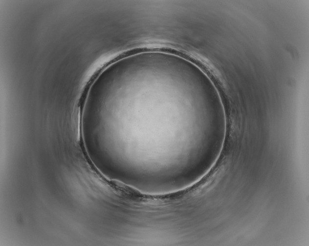 X0000110871175200906181156